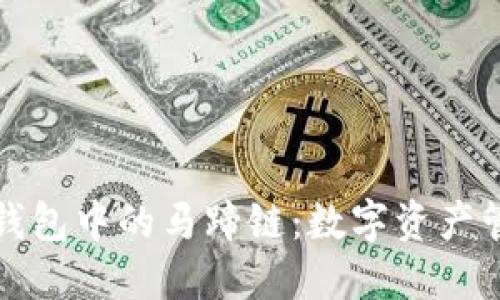 深入了解TP钱包中的马蹄链：数字资产管理的新选择