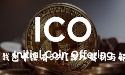 为何TP钱包中没有BSV？深入解析与解决方案