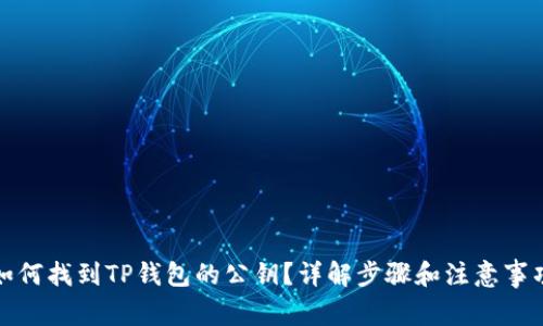 如何找到TP钱包的公钥？详解步骤和注意事项