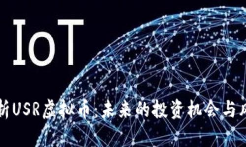 深入分析USR虚拟币：未来的投资机会与风险评估
