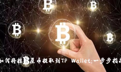 如何将抹茶屎币提取到TP Wallet：一步步指南