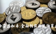 小贷虚拟币：金融创新的浪潮背后