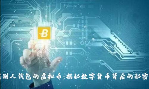 看不到别人钱包的虚拟币：揭秘数字货币背后的秘密与未来