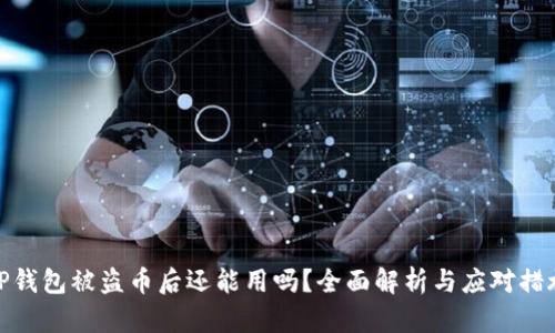 TP钱包被盗币后还能用吗？全面解析与应对措施