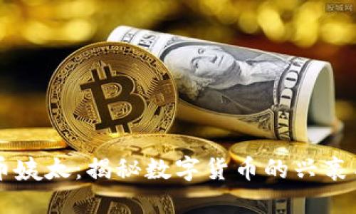 虚拟币姨太：揭秘数字货币的兴衰与未来