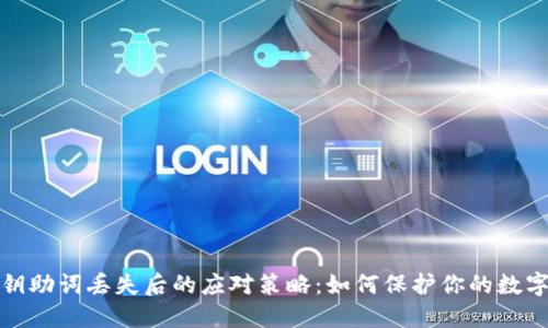 TP钱包密钥助词丢失后的应对策略：如何保护你的数字资产安全