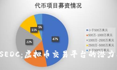 探索LSEDC：虚拟币交易平台的潜力与未来
