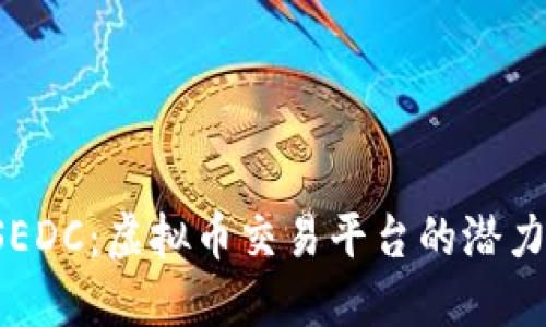 探索LSEDC：虚拟币交易平台的潜力与未来