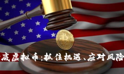国资如何抄底虚拟币：抓住机遇、应对风险的深度分析