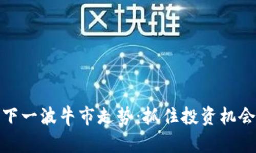 探索虚拟币下一波牛市走势：抓住投资机会的关键时刻