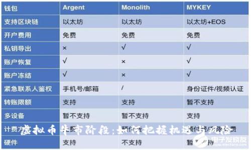 虚拟币牛市阶段：如何把握机遇与风险