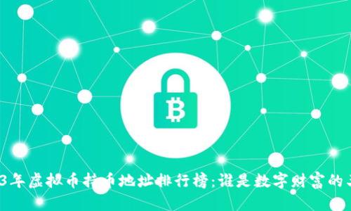 2023年虚拟币持币地址排行榜：谁是数字财富的王者？
