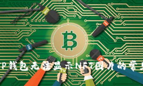 解决TP钱包无法显示NFT图片的常见问题