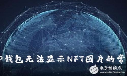 解决TP钱包无法显示NFT图片的常见问题