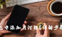 如何在TP钱包中添加月河链？详解步骤与注意事项