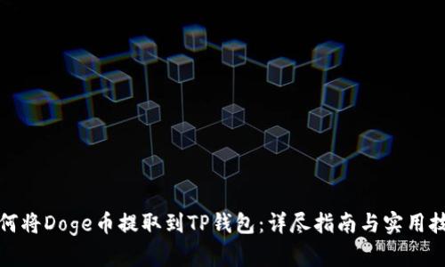 如何将Doge币提取到TP钱包：详尽指南与实用技巧