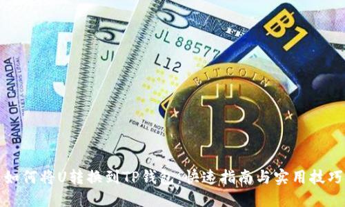 如何将U转换到TP钱包：快速指南与实用技巧