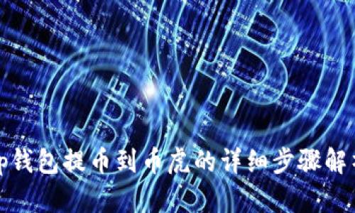 tp钱包提币到币虎的详细步骤解析