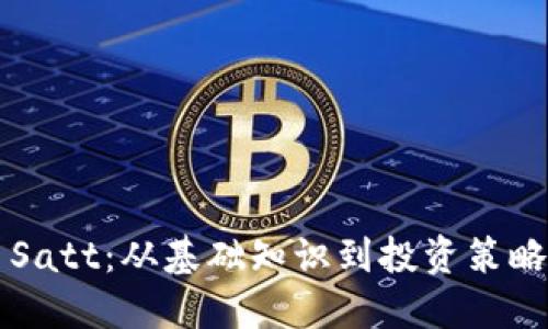 掌握虚拟币Satt：从基础知识到投资策略的全景指南