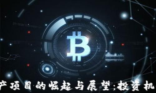 
2023年虚拟币国产项目的崛起与展望：投资机会与潜在风险分析