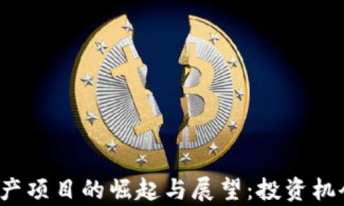 
2023年虚拟币国产项目的崛起与展望：投资机会与潜在风险分析