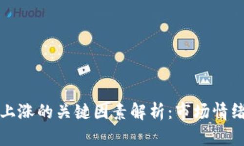 虚拟币价格上涨的关键因素解析：市场情绪与技术基础