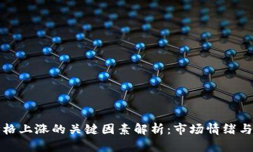虚拟币价格上涨的关键因素解析：市场情绪与技术基础
