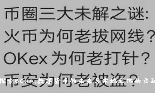 探索BCHA：数字货币的未来与本地文化的交融