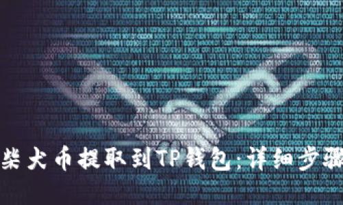 如何将柴犬币提取到TP钱包：详细步骤与技巧