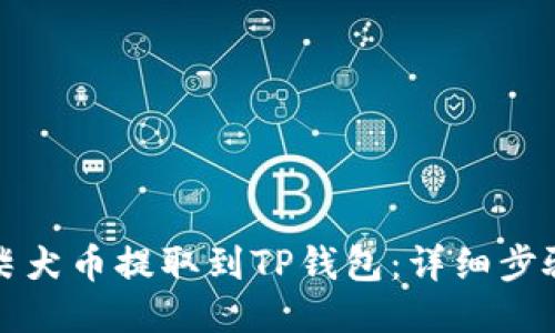 如何将柴犬币提取到TP钱包：详细步骤与技巧