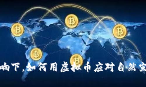 洪水的影响下，如何用虚拟币应对自然灾害的挑战