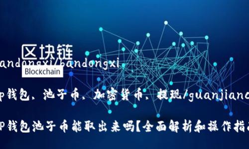 bandongxi/bandongxi

tp钱包, 池子币, 加密货币, 提现/guanjianci

TP钱包池子币能取出来吗？全面解析和操作指南