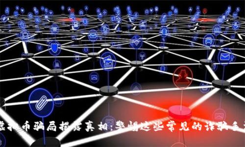 虚拟币骗局揭露真相：警惕这些常见的诈骗手法