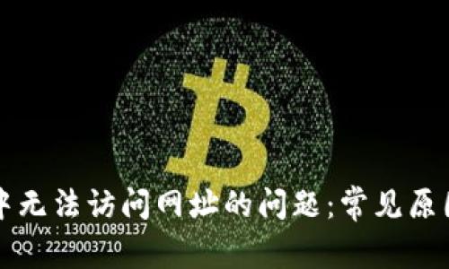 解决TP钱包中无法访问网址的问题：常见原因及解决方案