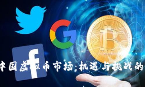 2023年中国虚拟币市场：机遇与挑战的深度解析