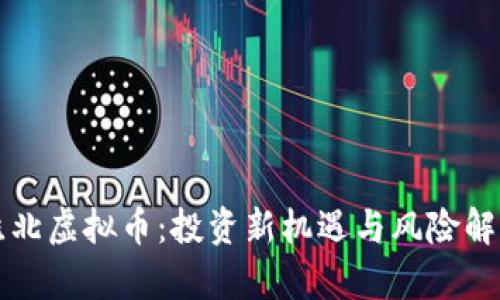 淮北虚拟币：投资新机遇与风险解析