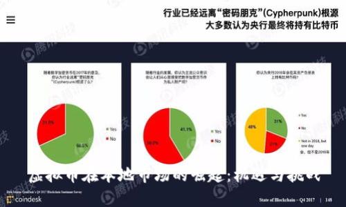 虚拟币在本地市场的崛起：机遇与挑战