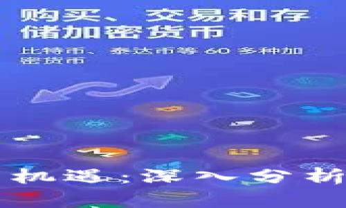 虚拟币敞口的风险与机遇：深入分析数字货币投资的未来