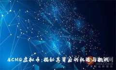 ACMD虚拟币：揭秘其背后的机遇与挑战