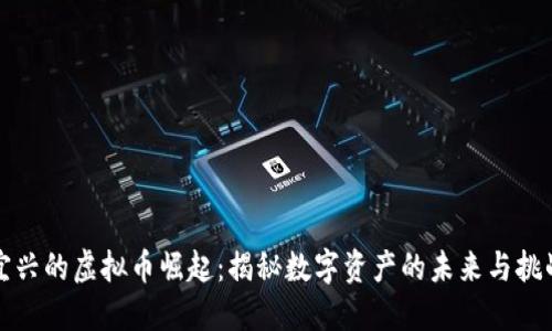宜兴的虚拟币崛起：揭秘数字资产的未来与挑战
