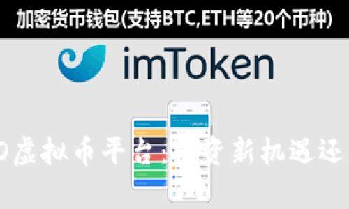 全面解析ICO虚拟币平台：投资新机遇还是风险挑战？