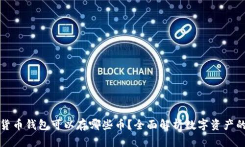虚拟货币钱包可以存哪些币？全面解析数字资产的选择