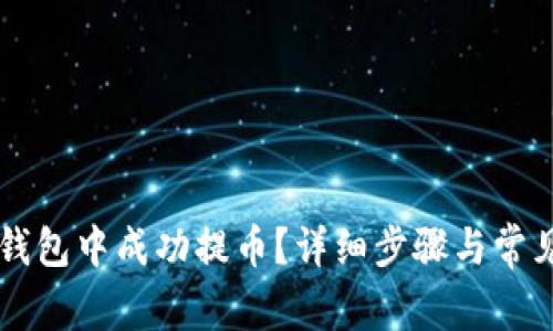 怎样在TP钱包中成功提币？详细步骤与常见问题解析