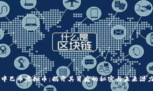 中巴币虚拟币：揭开其背后的秘密与未来潜力