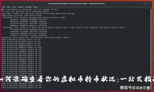 如何准确查看你的虚拟币持币状况：一站式指南