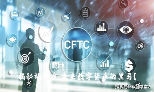 揭秘蝙蝠币：未来数字货币的黑马？