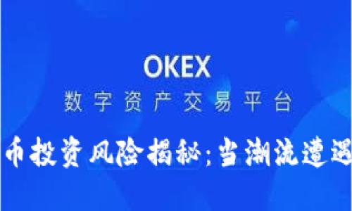 虚拟币投资风险揭秘：当潮流遭遇监管