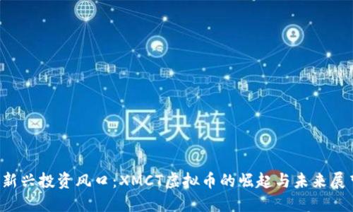  新兴投资风口：XMCT虚拟币的崛起与未来展望