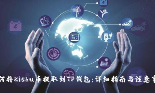 如何将Kishu币提取到TP钱包：详细指南与注意事项