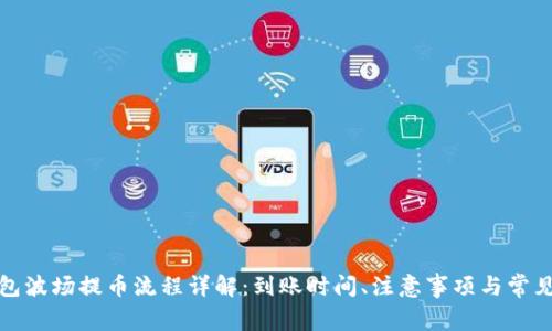 TP钱包波场提币流程详解：到账时间、注意事项与常见问题